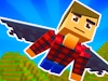 Elytra Flight