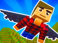 Elytra Flight