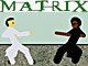 matrix bullet time fighting 2