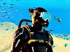 Underwater Survival Deep Dive