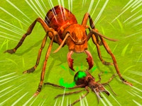 Ants Empire Evolve Sim