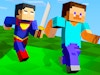 Minecraft Battle Party