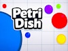 Petri Dish