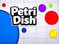 Petri Dish
